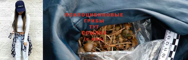 прущие грибы Приозерск