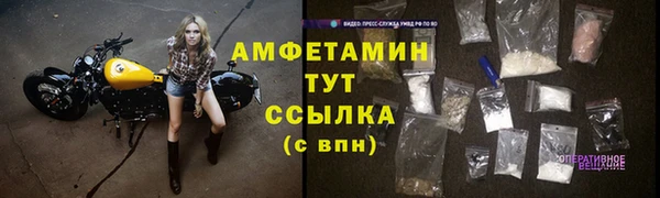 прущие грибы Приозерск