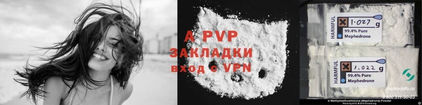 прущие грибы Приозерск