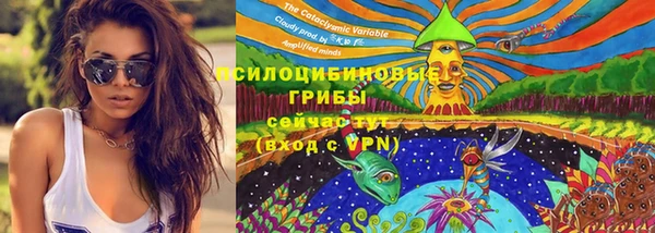прущие грибы Приозерск