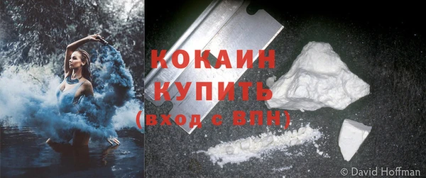 прущие грибы Приозерск