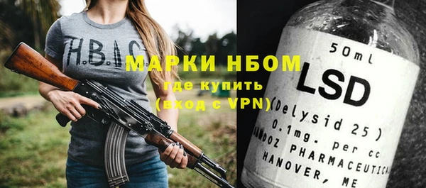 прущие грибы Приозерск