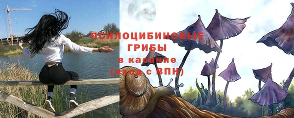 дмт Покачи